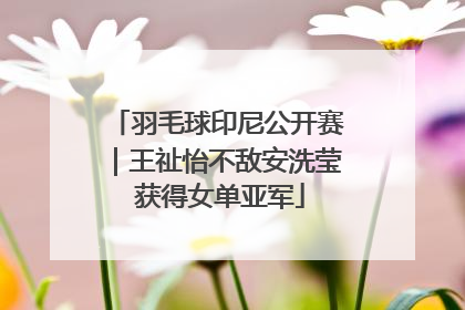 羽毛球印尼公开赛｜王祉怡不敌安洗莹 获得女单亚军