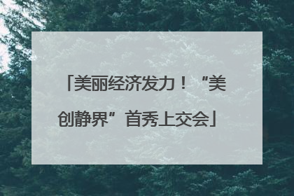 美丽经济发力！“美创静界”首秀上交会