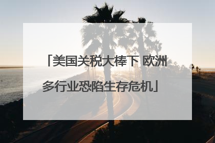 美国关税大棒下 欧洲多行业恐陷生存危机