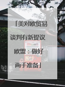 美对欧贸易谈判有新提议 欧盟：做好两手准备
