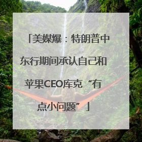 美媒爆：特朗普中东行期间承认自己和苹果CEO库克“有点小问题”
