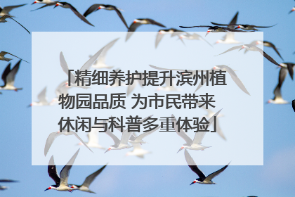 精细养护提升滨州植物园品质 为市民带来休闲与科普多重体验