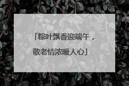 粽叶飘香迎端午，敬老情浓暖人心