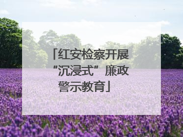 红安检察开展“沉浸式”廉政警示教育