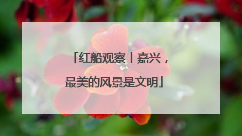 红船观察丨嘉兴，最美的风景是文明