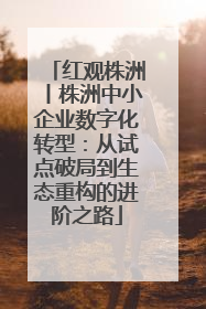 红观株洲丨株洲中小企业数字化转型：从试点破局到生态重构的进阶之路