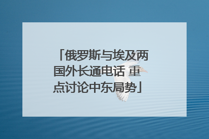 俄罗斯与埃及两国外长通电话 重点讨论中东局势