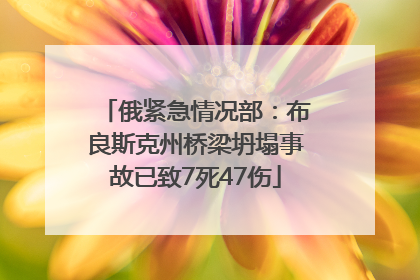 俄紧急情况部：布良斯克州桥梁坍塌事故已致7死47伤