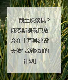 俄土没谈拢？俄罗斯据悉已放弃在土耳其建设天然气新枢纽的计划
