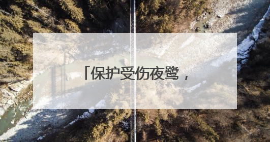 保护受伤夜鹭，他们都是“热心肠”！网友：做好事真的会很开心！