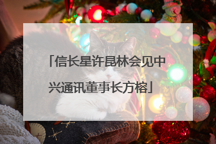 信长星许昆林会见中兴通讯董事长方榕