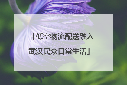 低空物流配送融入武汉民众日常生活