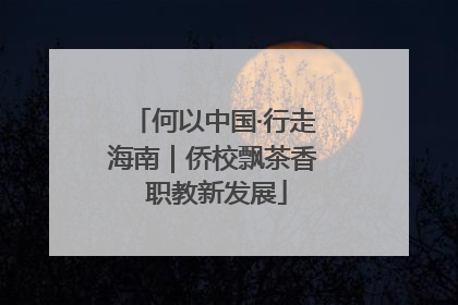 何以中国·行走海南｜侨校飘茶香 职教新发展