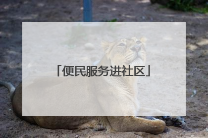 便民服务进社区