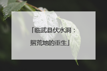 临武县伏水洞：撂荒地的重生