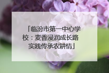临汾市第一中心学校：麦香浸润成长路 实践传承农耕情