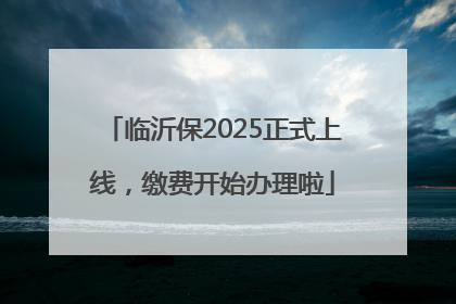 临沂保2025正式上线，缴费开始办理啦