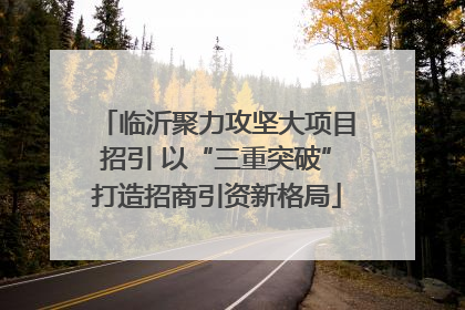 临沂聚力攻坚大项目招引 以“三重突破”打造招商引资新格局