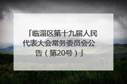 临淄区第十九届人民代表大会常务委员会公告（第20号）