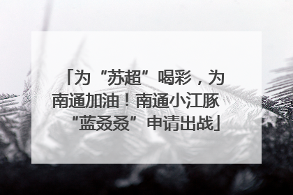 为“苏超”喝彩，为南通加油！南通小江豚“蓝叒叒”申请出战