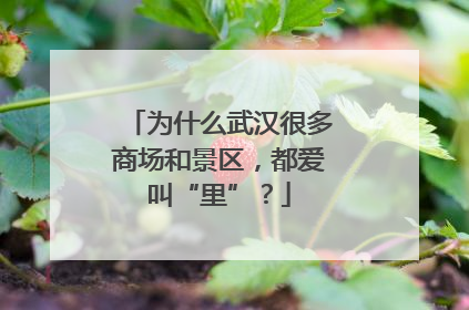 为什么武汉很多商场和景区，都爱叫“里”？
