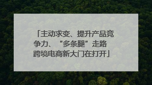 主动求变、提升产品竞争力、“多条腿”走路 跨境电商新大门在打开