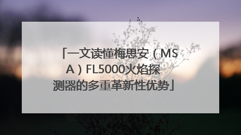 一文读懂梅思安（MSA）FL5000火焰探测器的多重革新性优势