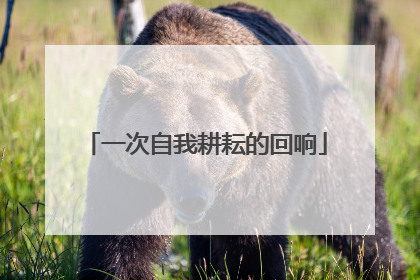 一次自我耕耘的回响