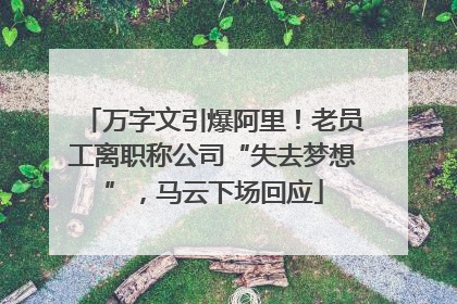 万字文引爆阿里！老员工离职称公司“失去梦想”，马云下场回应
