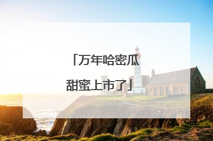 万年哈密瓜甜蜜上市了