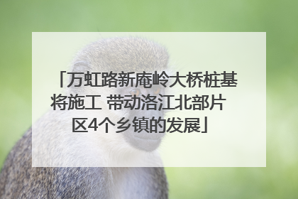万虹路新庵岭大桥桩基将施工 带动洛江北部片区4个乡镇的发展