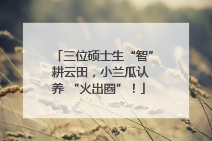 三位硕士生“智” 耕云田，小兰瓜认养 “火出圈”！