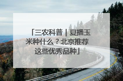 三农科普｜夏播玉米种什么？北京推荐这些优秀品种