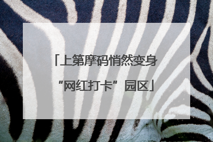 上第摩码悄然变身“网红打卡”园区