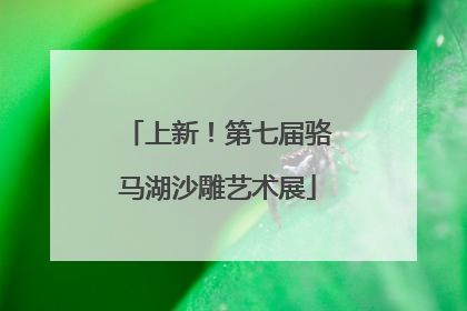 上新！第七届骆马湖沙雕艺术展
