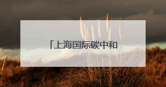 上海国际碳中和博览会开幕，绿色低碳技术这样改变我们的生活