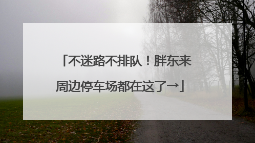 不迷路不排队！胖东来周边停车场都在这了→