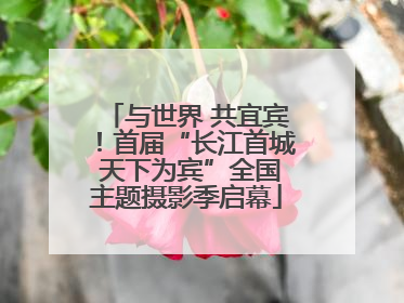 与世界 共宜宾！首届“长江首城 天下为宾”全国主题摄影季启幕