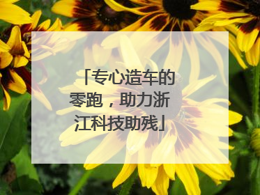 专心造车的零跑，助力浙江科技助残