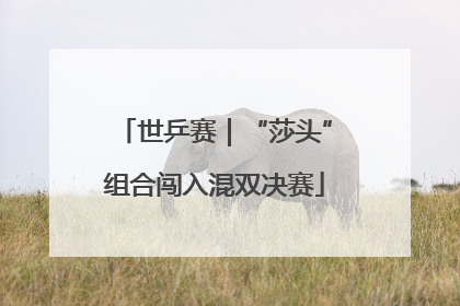 世乒赛｜“莎头”组合闯入混双决赛