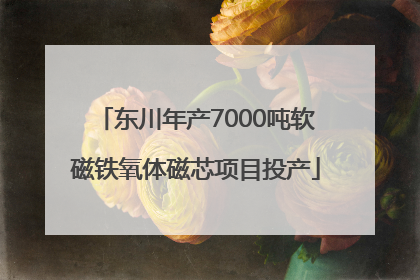 东川年产7000吨软磁铁氧体磁芯项目投产