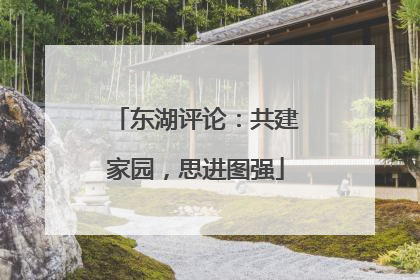 东湖评论：共建家园，思进图强