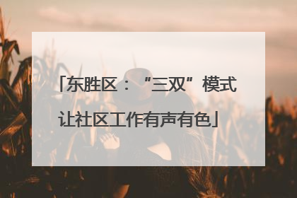 东胜区：“三双”模式让社区工作有声有色