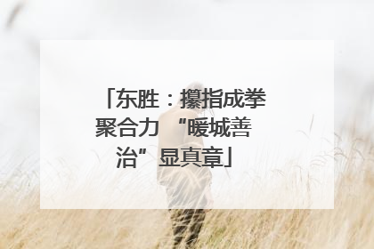 东胜：攥指成拳聚合力 “暖城善治”显真章