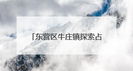 东营区牛庄镇探索占道晒粮治理新路径