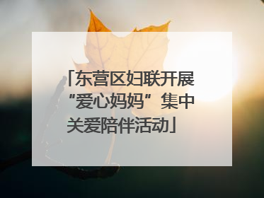 东营区妇联开展“爱心妈妈”集中关爱陪伴活动