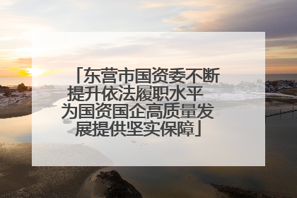 东营市国资委不断提升依法履职水平 为国资国企高质量发展提供坚实保障