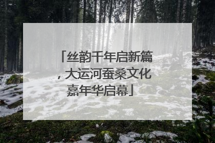 丝韵千年启新篇，大运河蚕桑文化嘉年华启幕