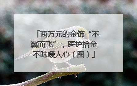 两万元的金饰“不翼而飞”，医护拾金不昧暖人心（图）