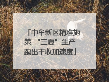 中牟新区精准施策 “三夏”生产跑出丰收加速度